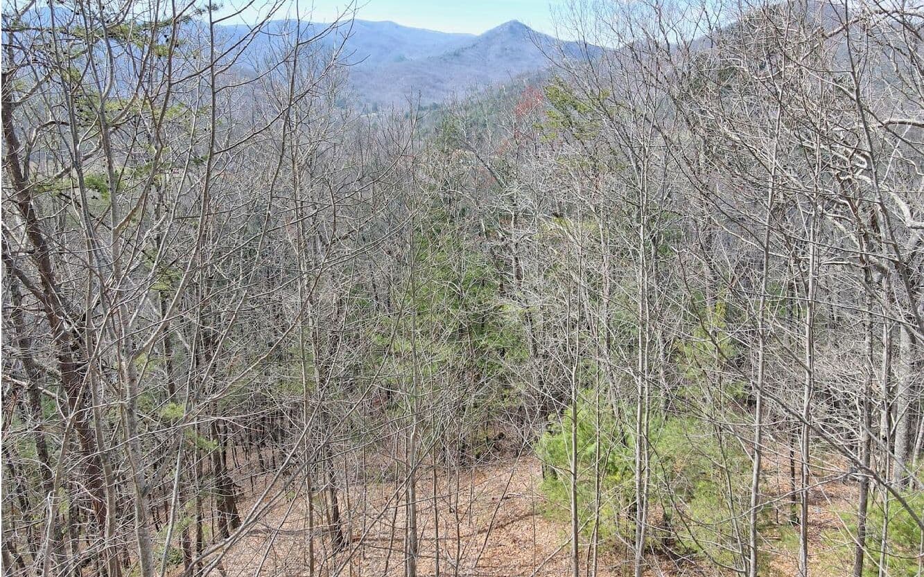 LT17 Mill Ridge Road, Hiawassee GA 30546 - Photo