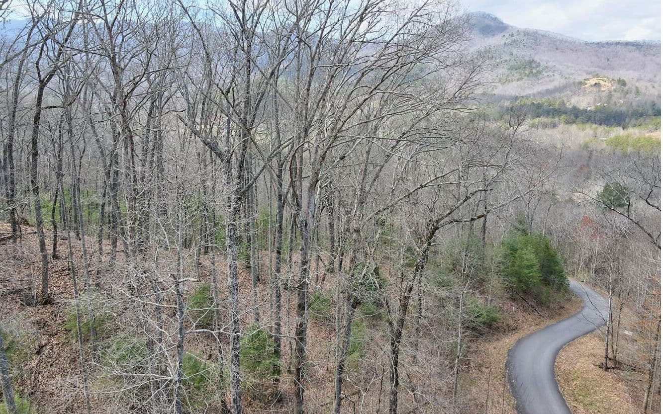 LT17 Mill Ridge Road, Hiawassee GA 30546 - Photo