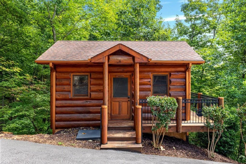 373 Rising Star Lane, Mineral Bluff GA 30559 - Photo