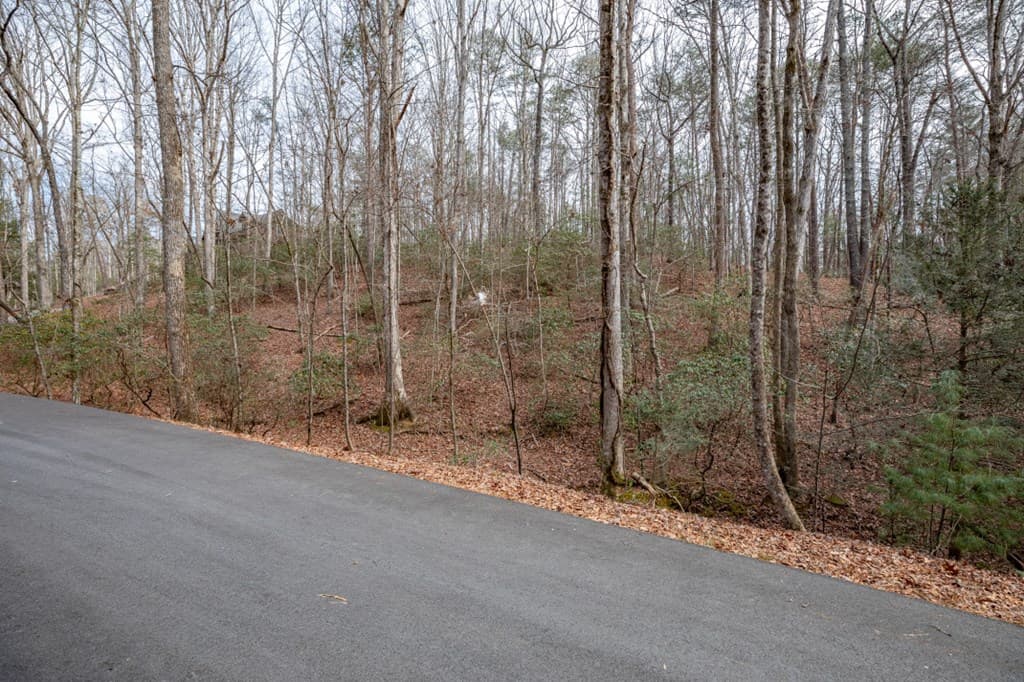 454, 455 Seneca Drive, Ellijay GA 30540 - Photo
