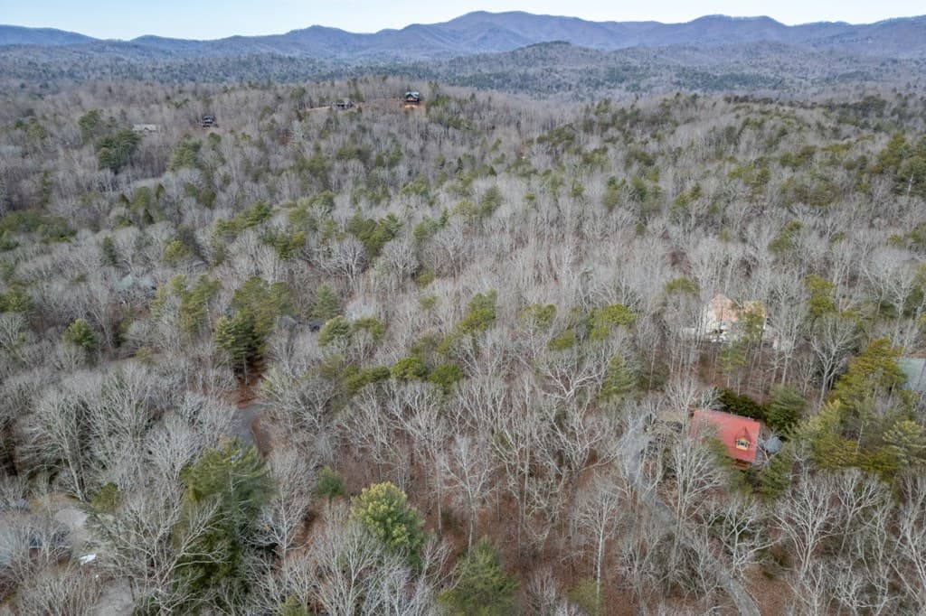 454, 455 Seneca Drive, Ellijay GA 30540 - Photo