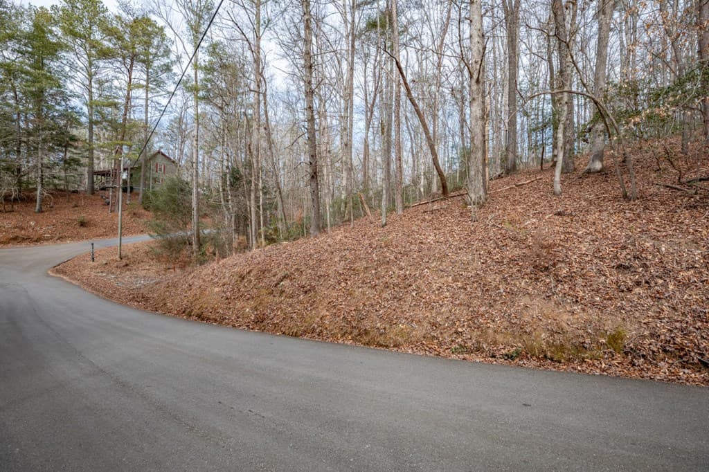 454, 455 Seneca Drive, Ellijay GA 30540 - Photo