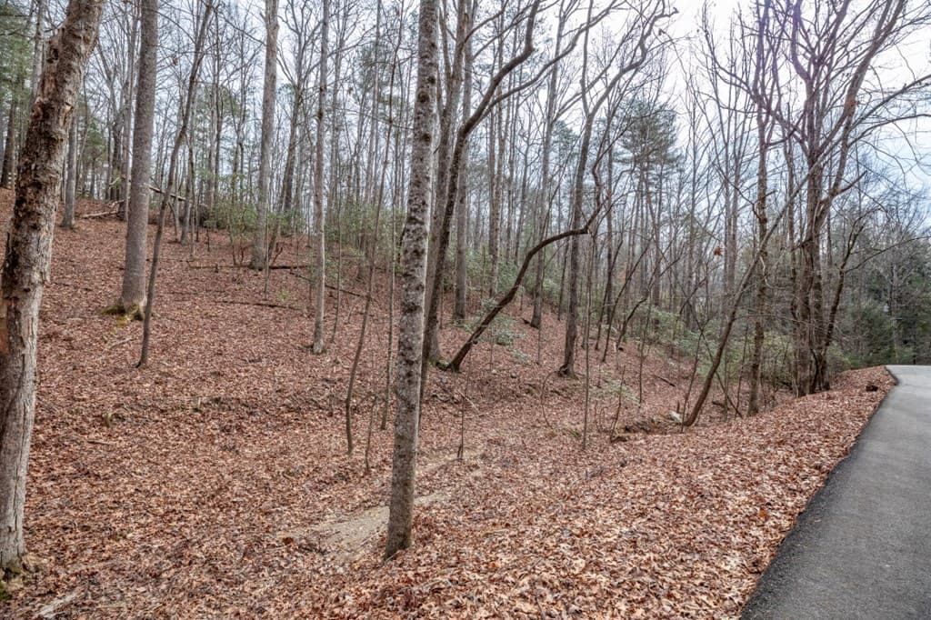 454, 455 Seneca Drive, Ellijay GA 30540 - Photo