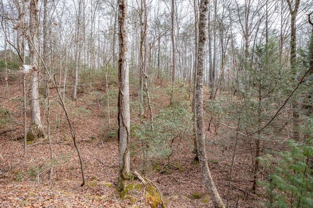 454, 455 Seneca Drive, Ellijay GA 30540 - Photo