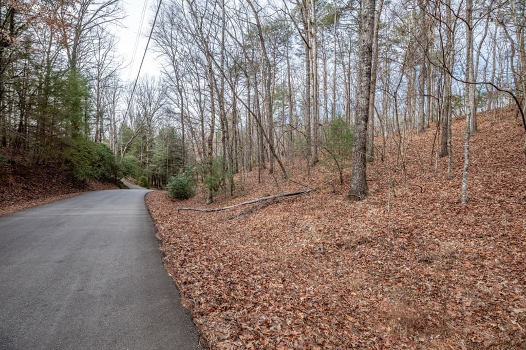 454, 455 Seneca Drive, Ellijay GA 30540 - Photo