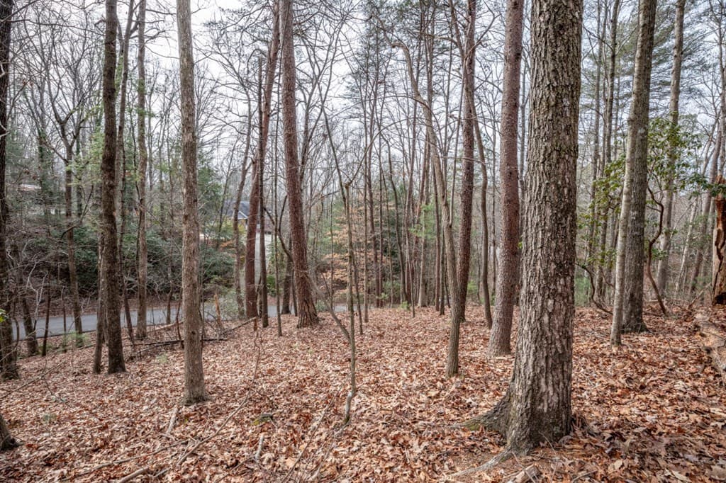 454, 455 Seneca Drive, Ellijay GA 30540 - Photo