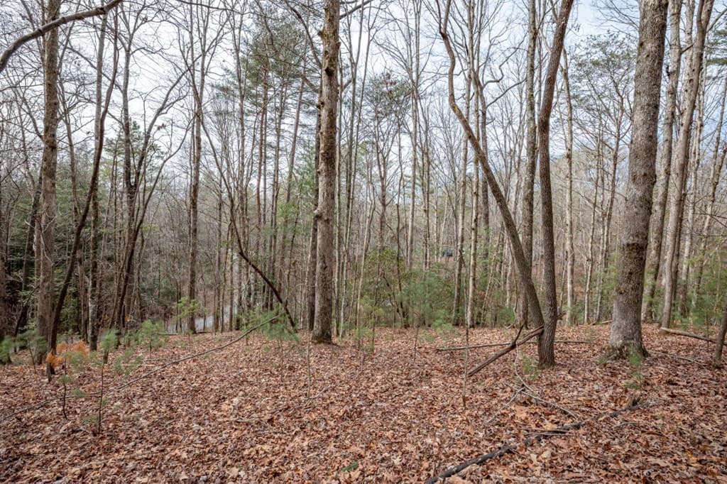 454, 455 Seneca Drive, Ellijay GA 30540 - Photo