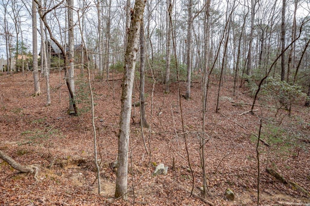 454, 455 Seneca Drive, Ellijay GA 30540 - Photo