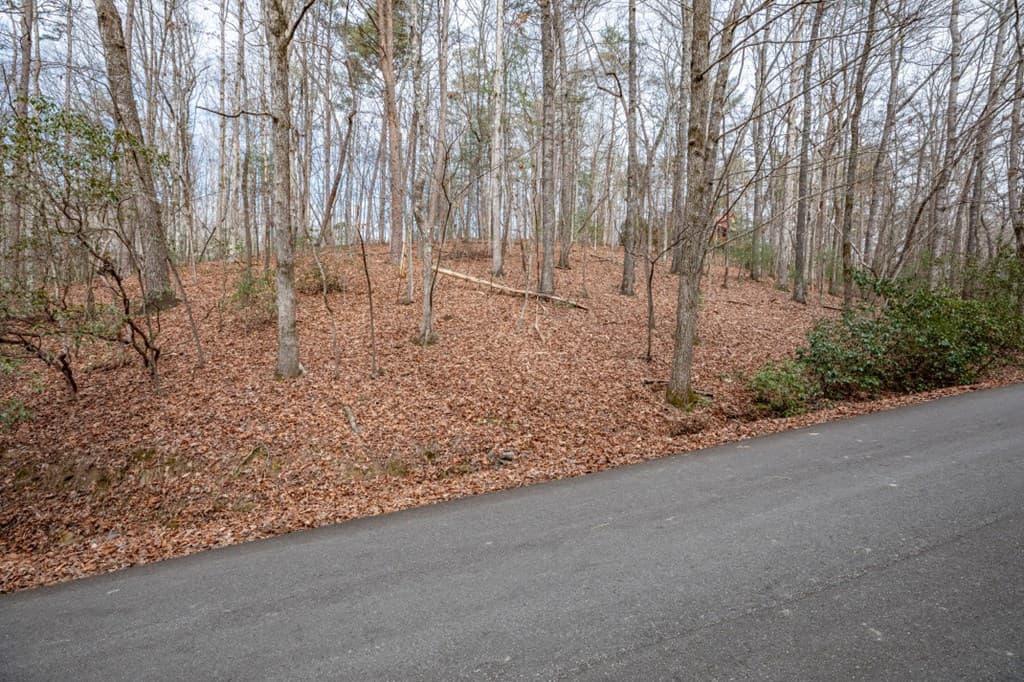 454, 455 Seneca Drive, Ellijay GA 30540 - Photo