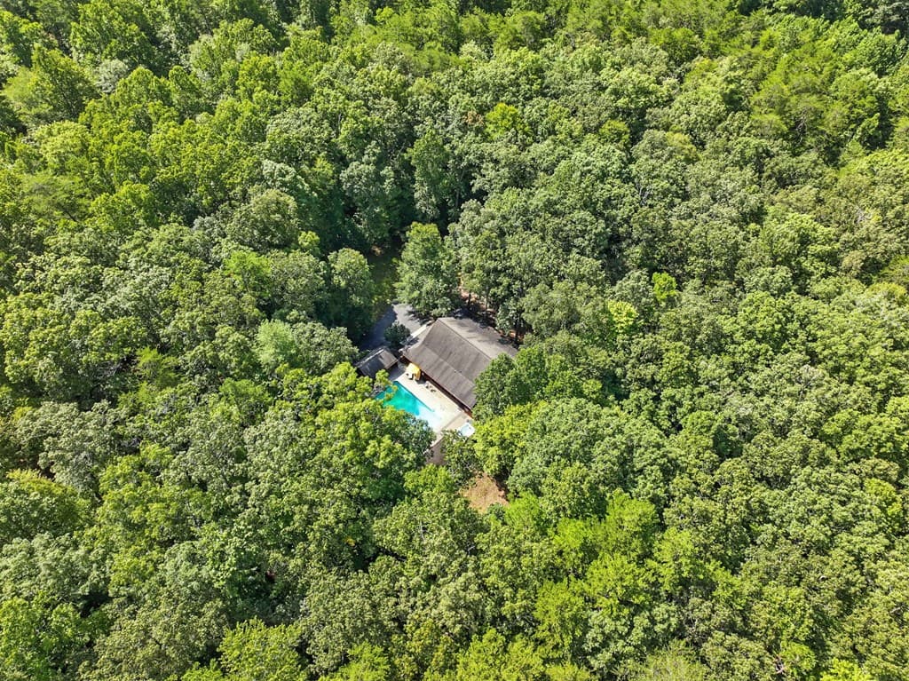 721 Lower Star Creek Road, Morganton GA 30560 - Photo
