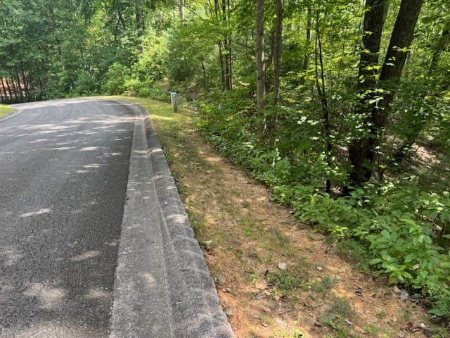 14 Abbott Mill Road, Ellijay GA 30540 - Photo