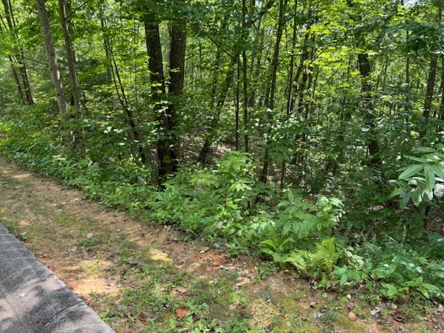 14 Abbott Mill Road, Ellijay GA 30540 - Photo
