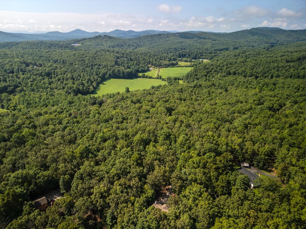 77 Chosen Ridge, Morganton GA 30560 - Photo