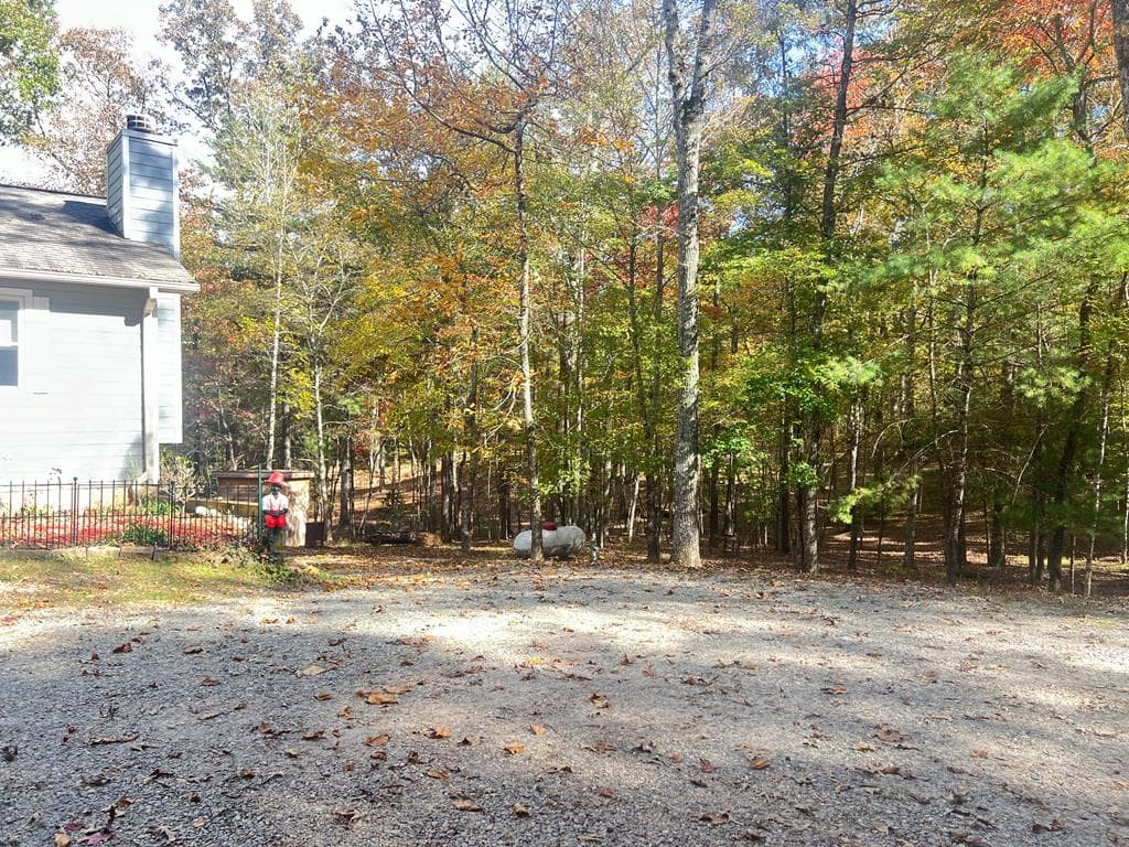 77 Chosen Ridge, Morganton GA 30560 - Photo