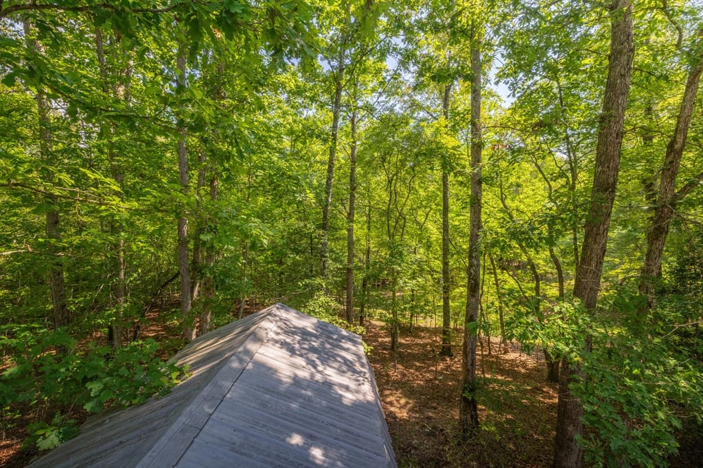 77 Chosen Ridge, Morganton GA 30560 - Photo