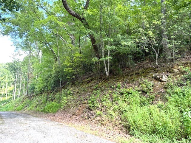 19 Buckhead Hills, Hiawassee GA 30546 - Photo