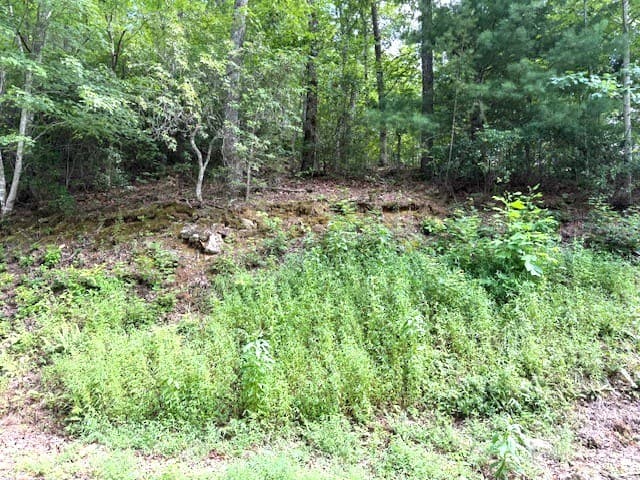 19 Buckhead Hills, Hiawassee GA 30546 - Photo