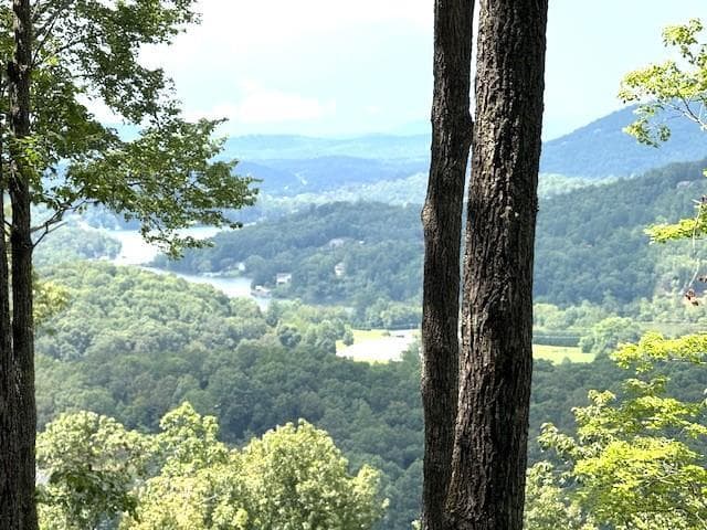 19 Buckhead Hills, Hiawassee GA 30546 - Photo