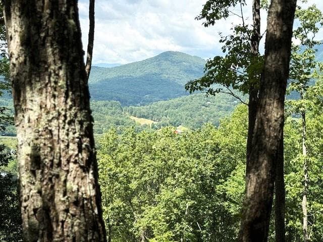 19 Buckhead Hills, Hiawassee GA 30546 - Primary photo