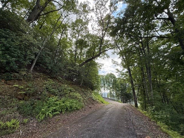 19 Buckhead Hills, Hiawassee GA 30546 - Photo