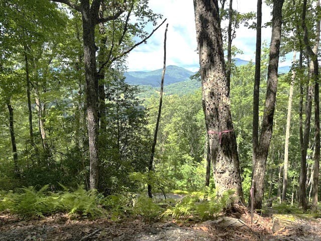 19 Buckhead Hills, Hiawassee GA 30546 - Photo