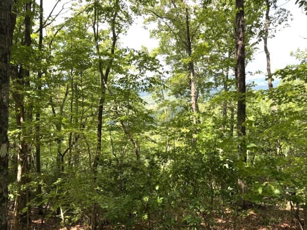 19 Buckhead Hills, Hiawassee GA 30546 - Photo