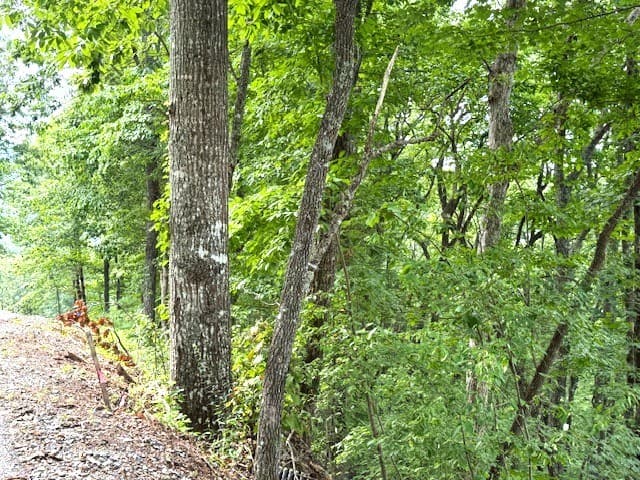 19 Buckhead Hills, Hiawassee GA 30546 - Photo