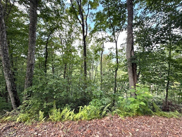 19 Buckhead Hills, Hiawassee GA 30546 - Photo