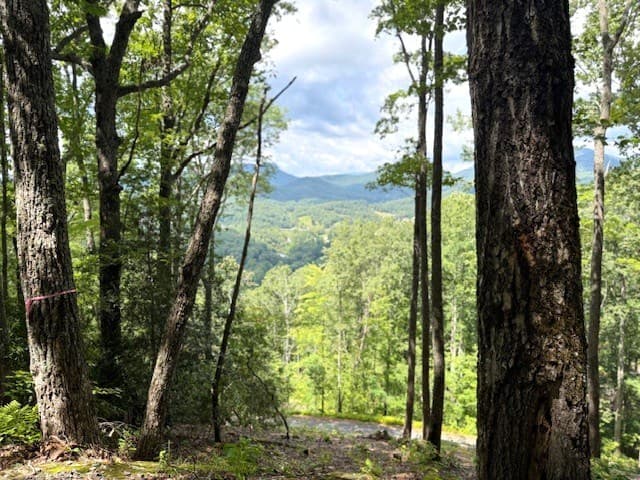 19 Buckhead Hills, Hiawassee GA 30546 - Photo