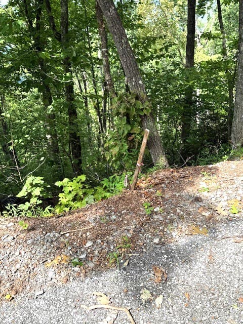 19 Buckhead Hills, Hiawassee GA 30546 - Photo