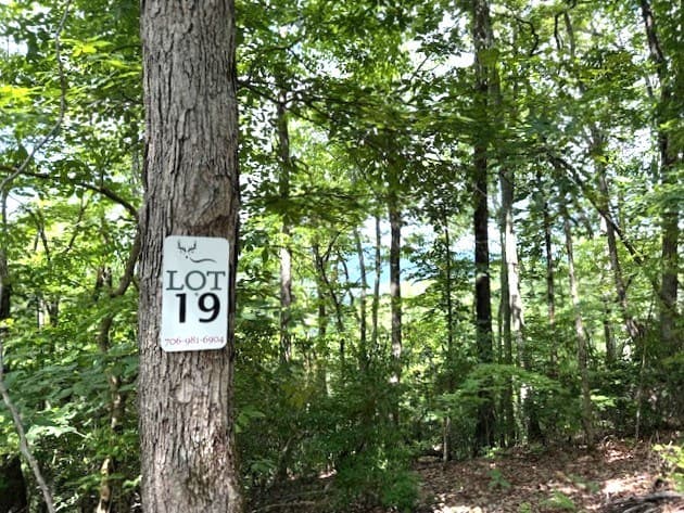 19 Buckhead Hills, Hiawassee GA 30546 - Photo