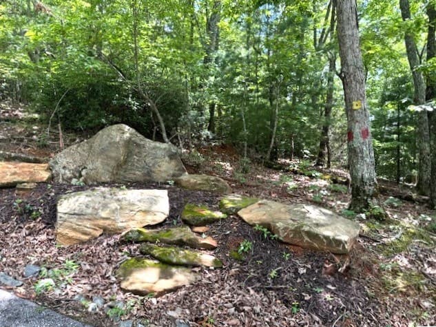 19 Buckhead Hills, Hiawassee GA 30546 - Photo