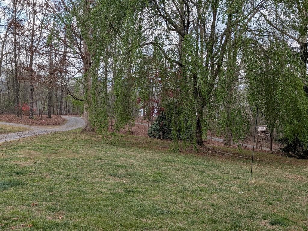223 Mountain Breezes Drive, Hayesville NC 28904 - Photo