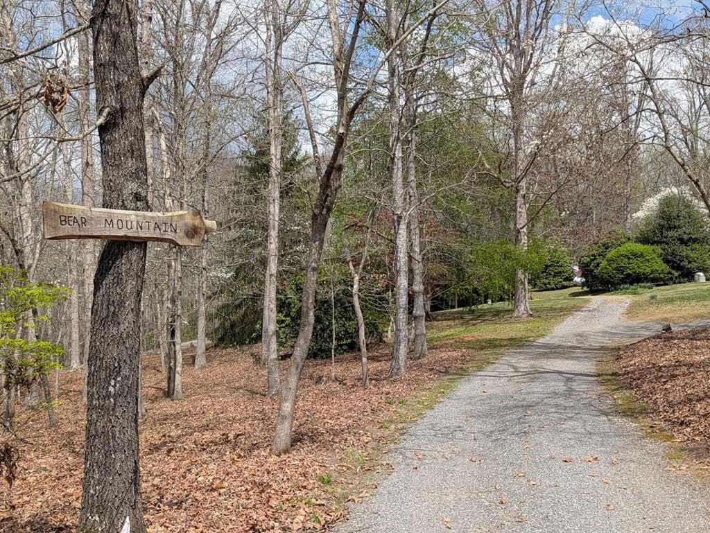 223 Mountain Breezes Drive, Hayesville NC 28904 - Photo