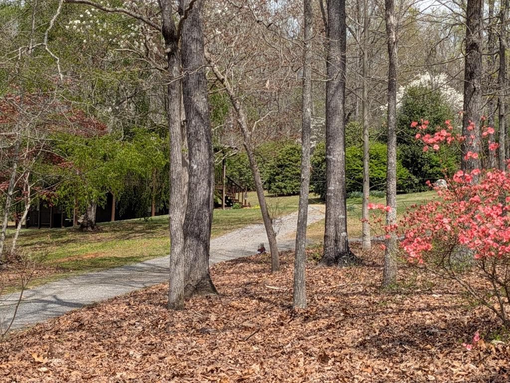 223 Mountain Breezes Drive, Hayesville NC 28904 - Photo
