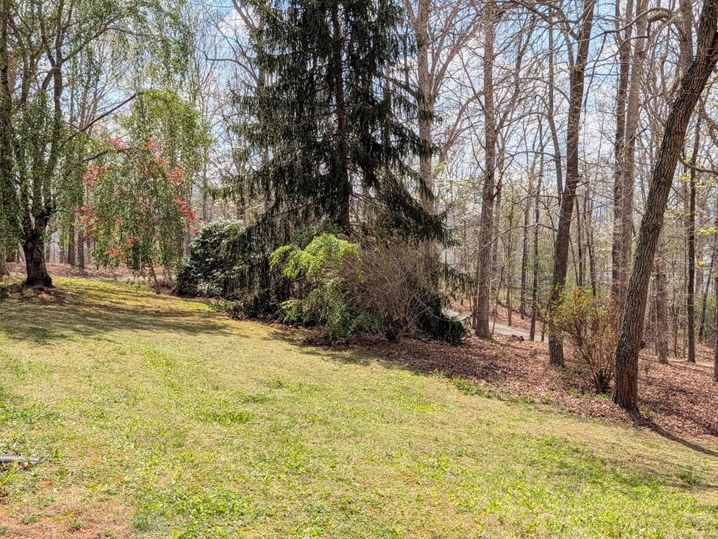 223 Mountain Breezes Drive, Hayesville NC 28904 - Photo