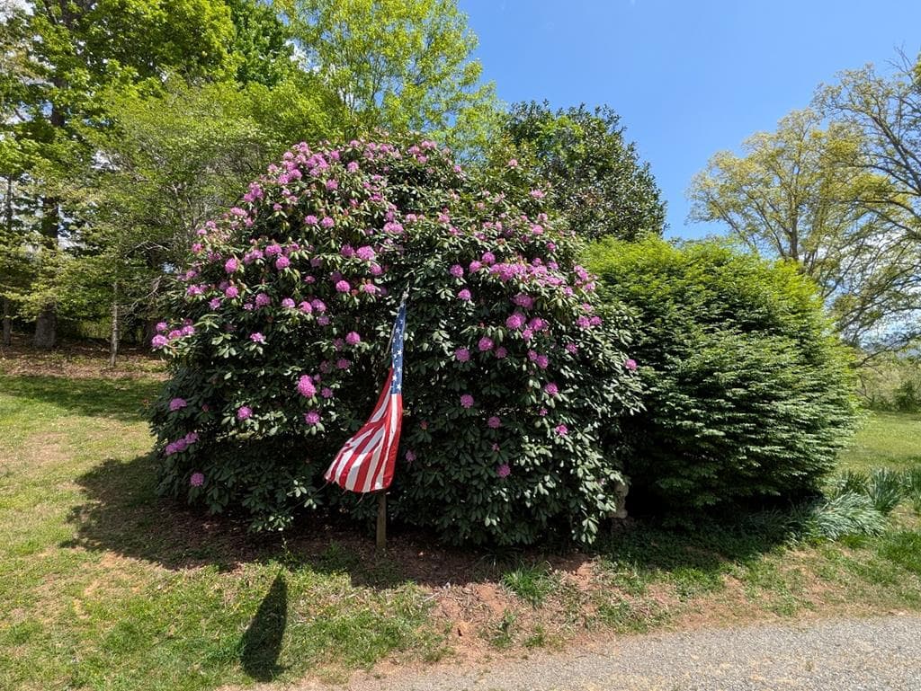 223 Mountain Breezes Drive, Hayesville NC 28904 - Photo