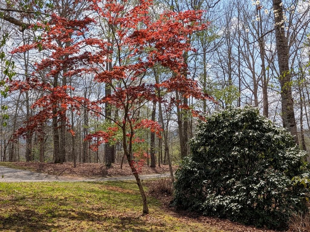 223 Mountain Breezes Drive, Hayesville NC 28904 - Photo