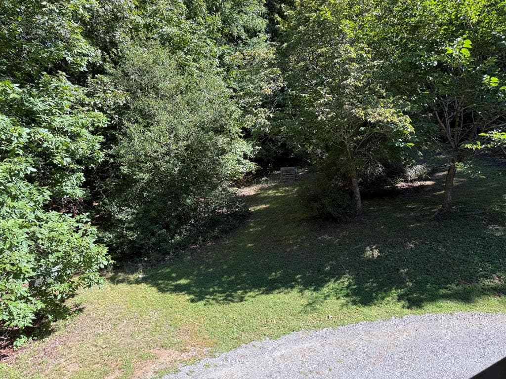 223 Mountain Breezes Drive, Hayesville NC 28904 - Photo