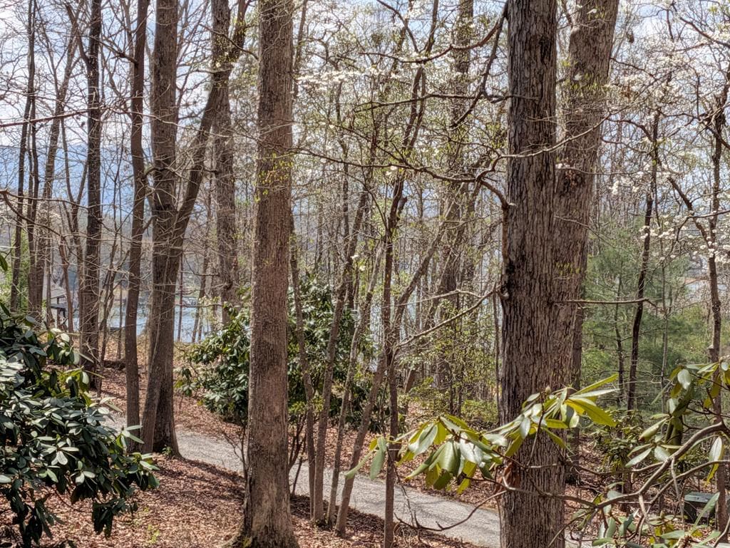 223 Mountain Breezes Drive, Hayesville NC 28904 - Photo