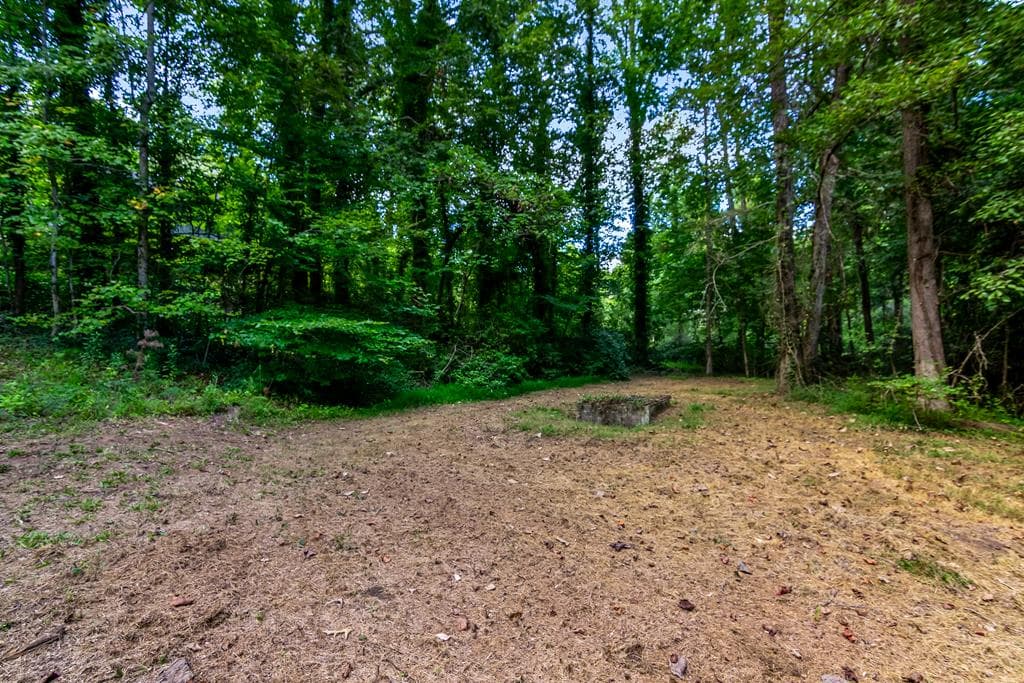 2063 Canton Road, Nelson GA 30151 - Photo