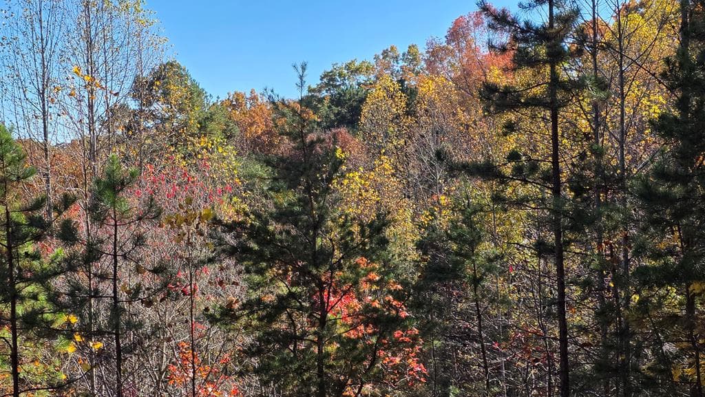 62 Green Cove Spur, Murphy NC 28906 - Photo