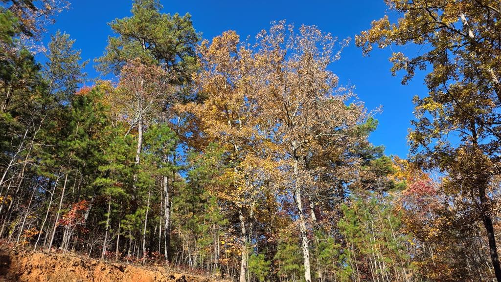 62 Green Cove Spur, Murphy NC 28906 - Photo