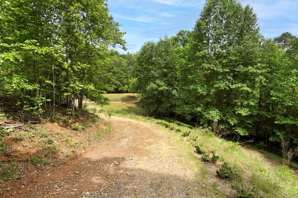 62 Green Cove Spur, Murphy NC 28906 - Photo