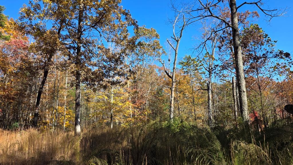 62 Green Cove Spur, Murphy NC 28906 - Photo