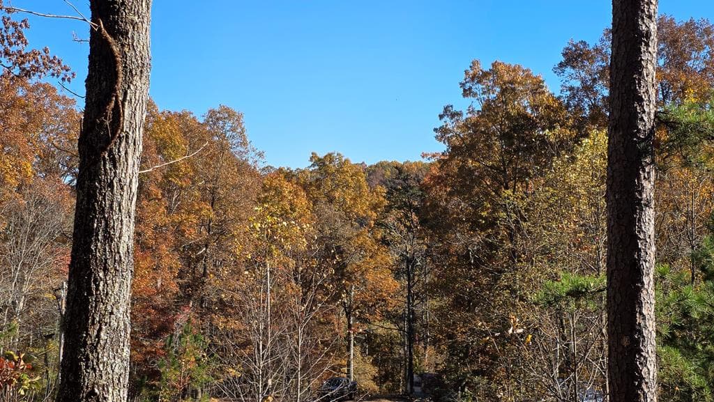 62 Green Cove Spur, Murphy NC 28906 - Photo