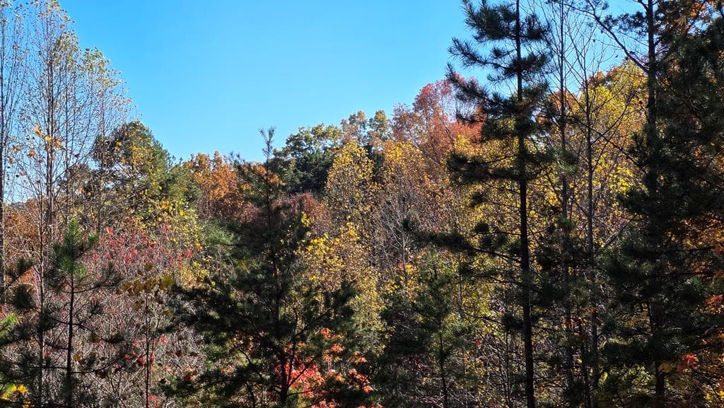 62 Green Cove Spur, Murphy NC 28906 - Photo
