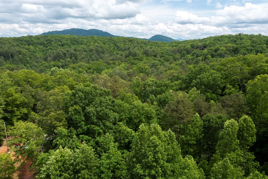 62 Green Cove Spur, Murphy NC 28906 - Photo