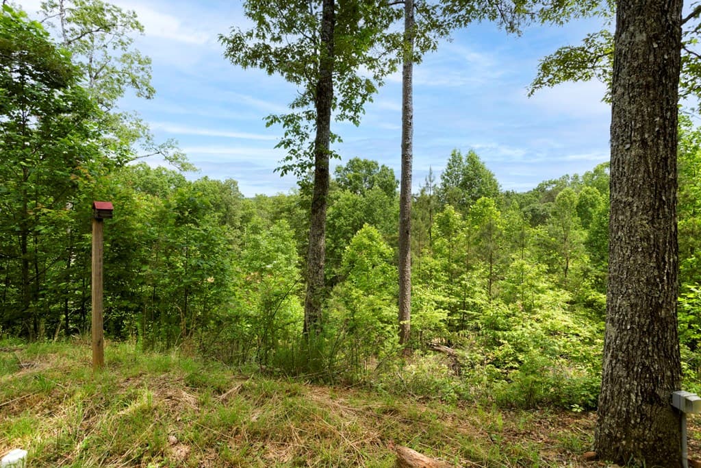 62 Green Cove Spur, Murphy NC 28906 - Photo