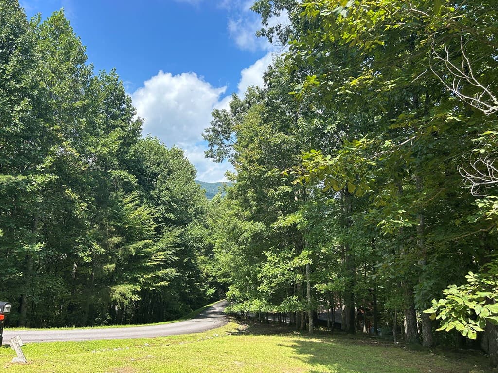 Lt 19 Bitter Creek Road, Blairsville GA 30512 - Photo
